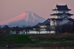 週末の富士山（新作698）