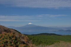 週末の富士山295