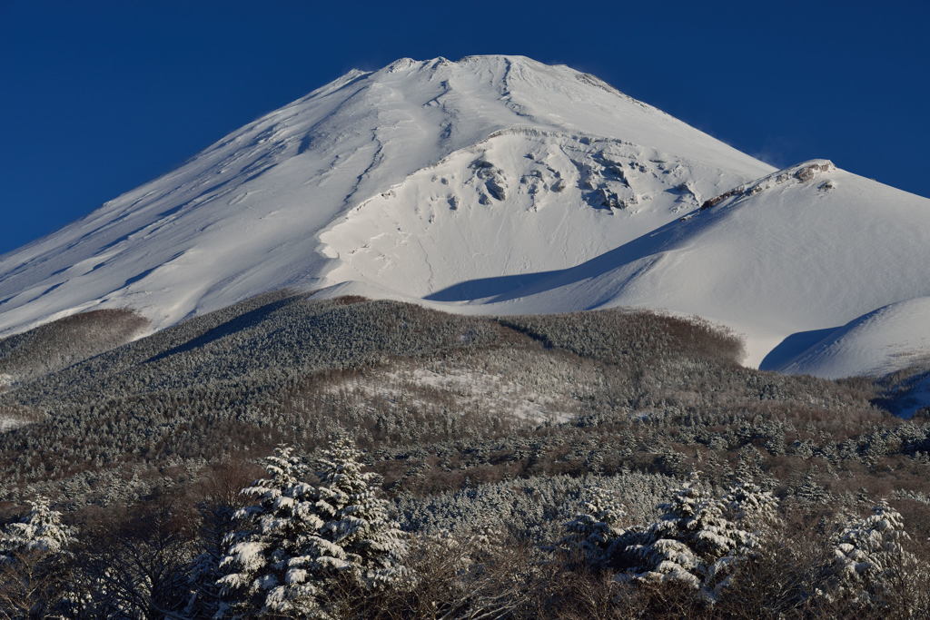 週末の富士山33