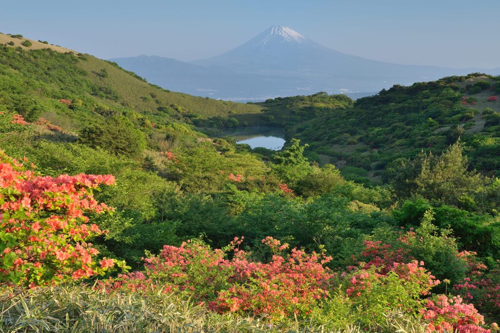 平日の富士山728