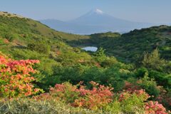 平日の富士山728