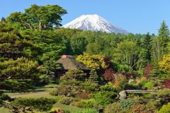 週末の富士山（新作659）