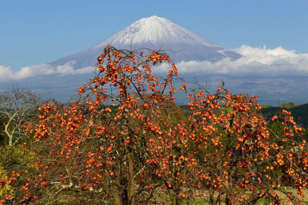 平日の富士山435