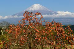 平日の富士山435