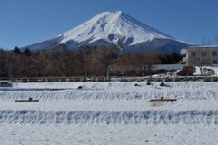 週末の富士山（新作1210）