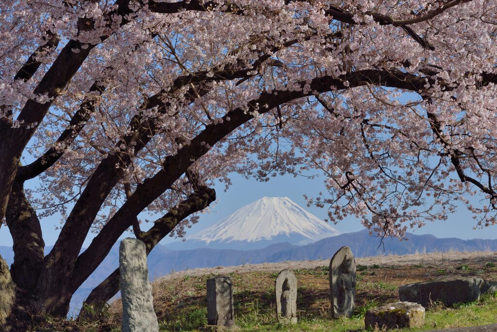 平日の富士山1078