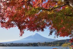 平日の富士山918