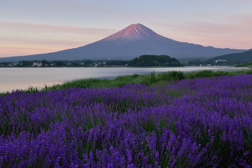 平日の富士山45