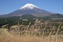 週末の富士山262