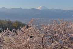 週末の富士山（新作1139）