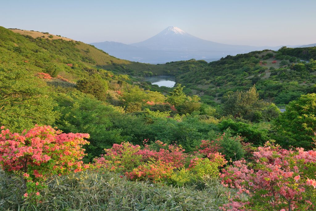 平日の富士山725