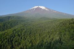 週末の富士山（新作679）