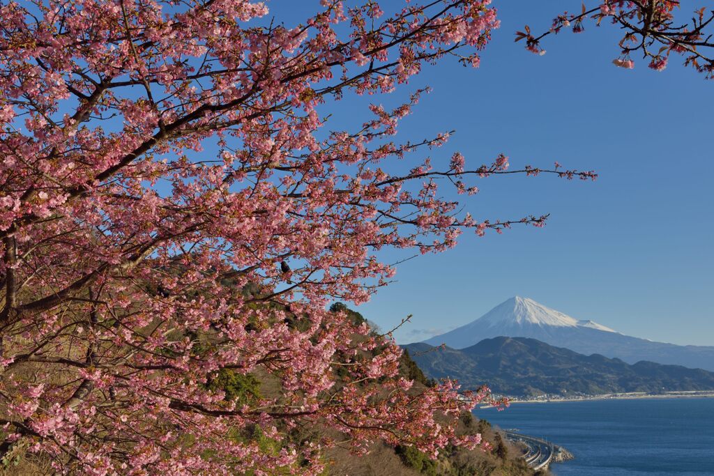 週末の富士山（新作1277）