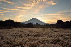 週末の富士山（新作303）