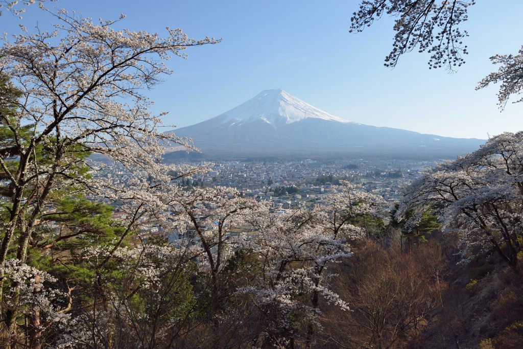 週末の富士山（新作1152）