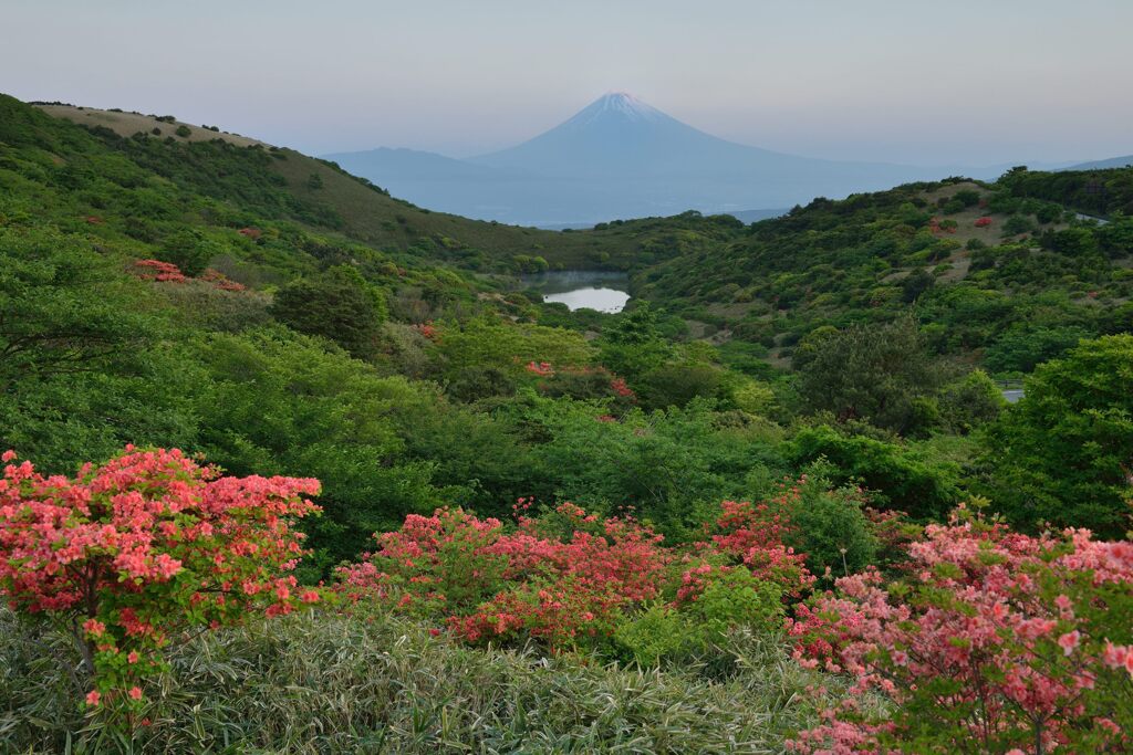 平日の富士山723