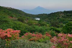 平日の富士山723