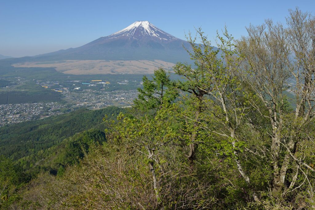 週末の富士山49