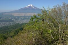 週末の富士山49