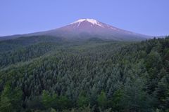 週末の富士山（新作674）