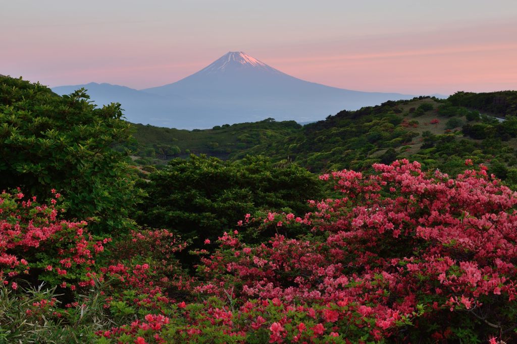 週末の富士山（新作225）