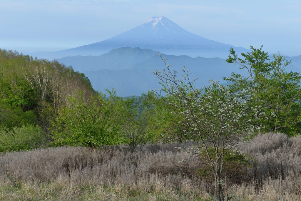 平日の富士山730