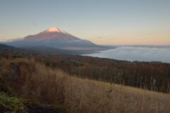 平日の富士山891