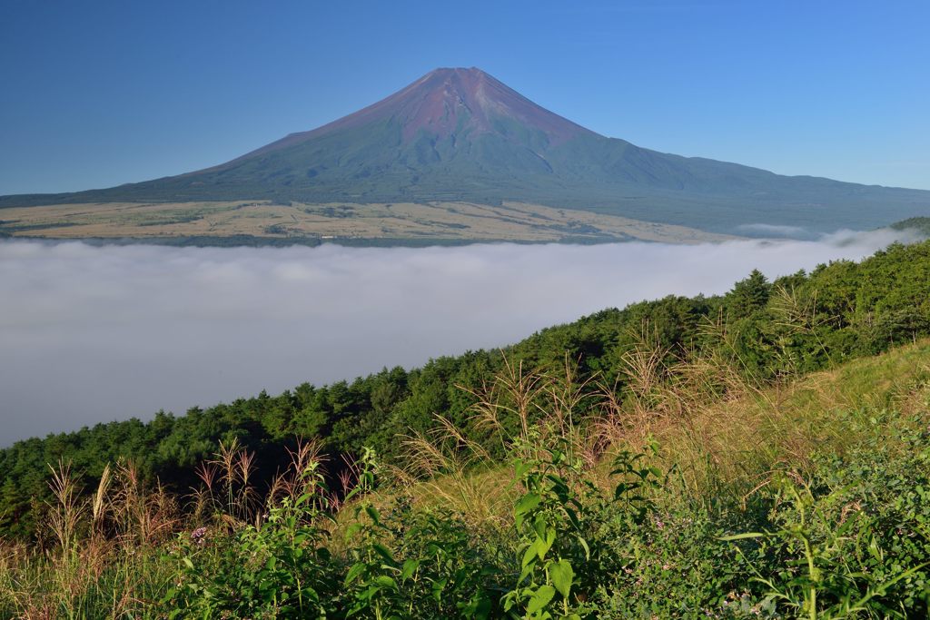 平日の富士山101