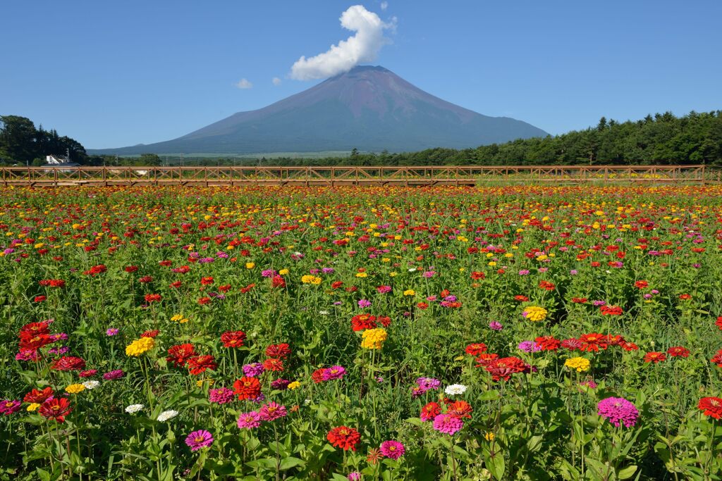 平日の富士山760
