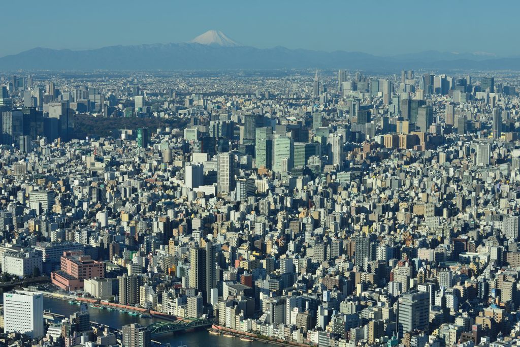 平日の富士山195