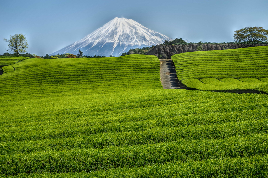 週末の富士山（新作642）