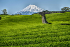 週末の富士山（新作642）