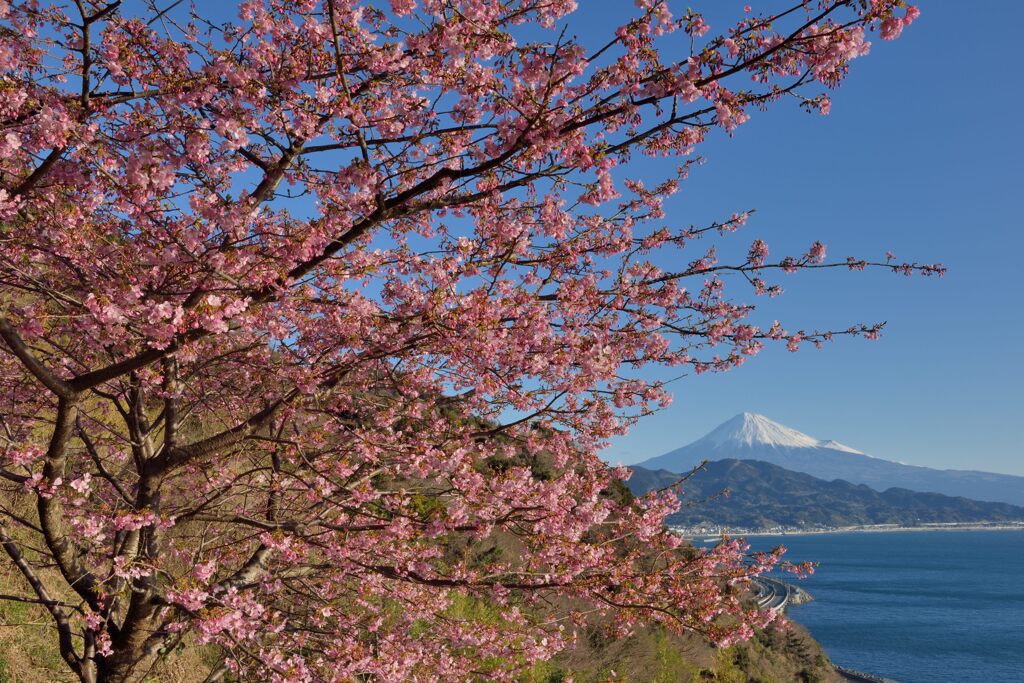 週末の富士山（新作1279）