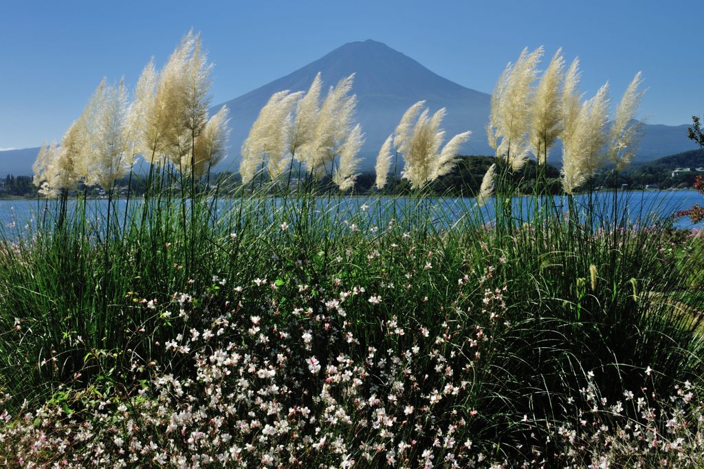 週末の富士山（新作33）