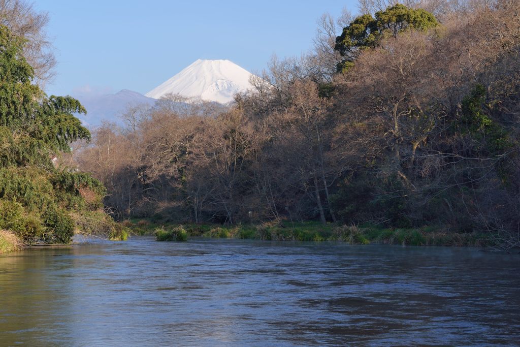 平日の富士山236