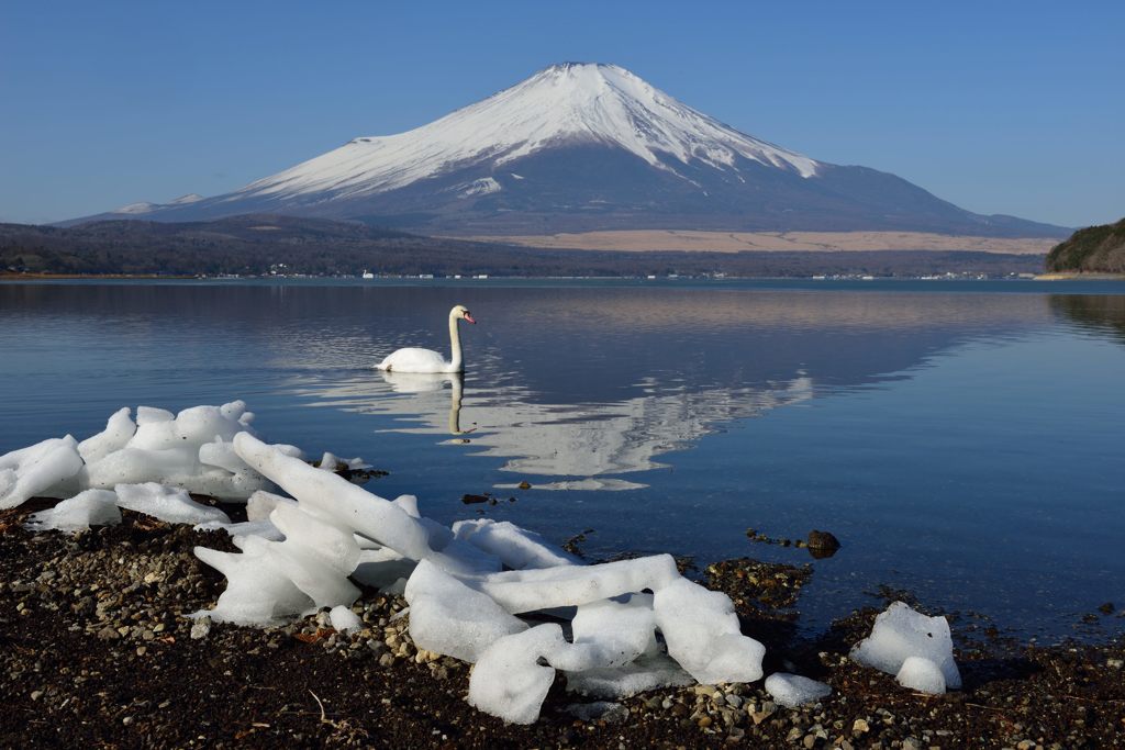 週末の富士山（新作793）
