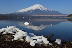 週末の富士山（新作793）