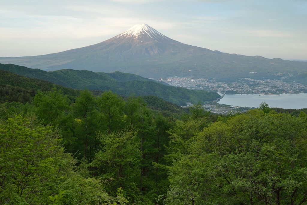 週末の富士山（新作883）