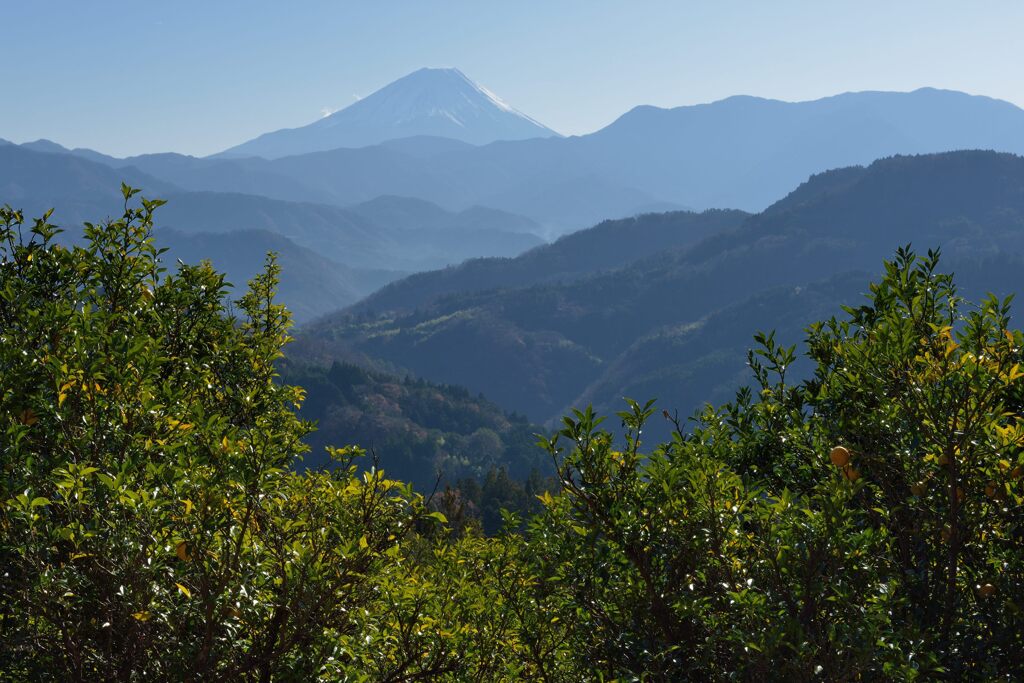 平日の富士山979