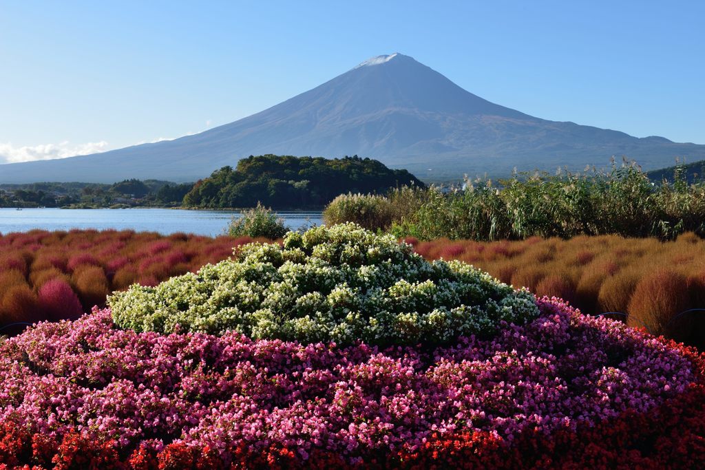 平日の富士山129