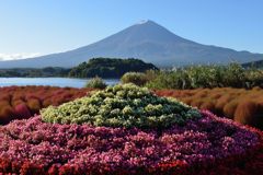 平日の富士山129