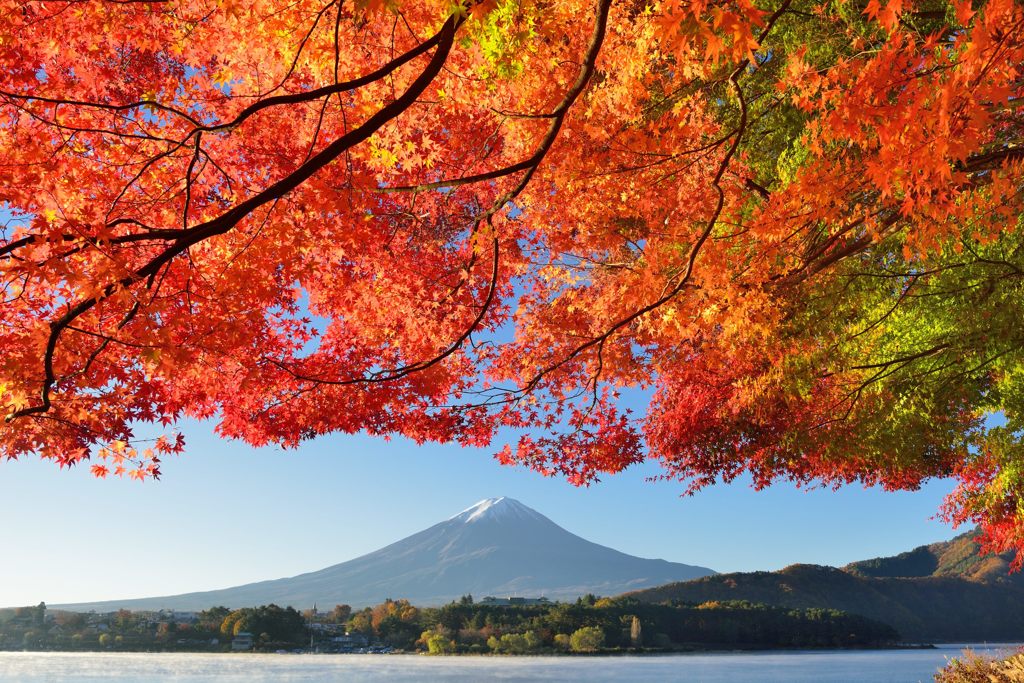 週末の富士山（新作62）
