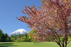 週末の富士山（新作464）