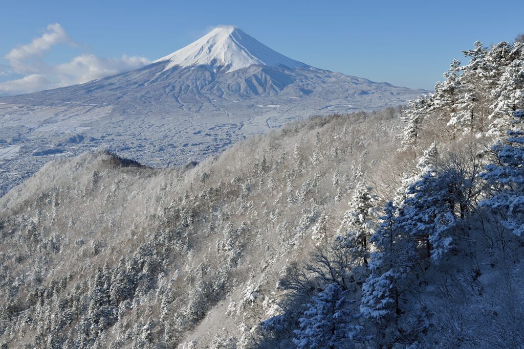 週末の富士山（新作1374）