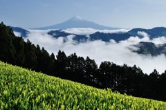 平日の富士山24