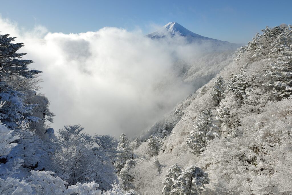 平日の富士山941