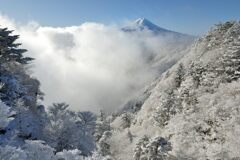 平日の富士山941
