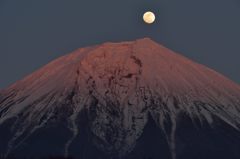 週末の富士山（新作418）