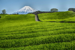 週末の富士山（新作643）