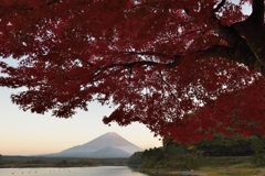 平日の富士山140